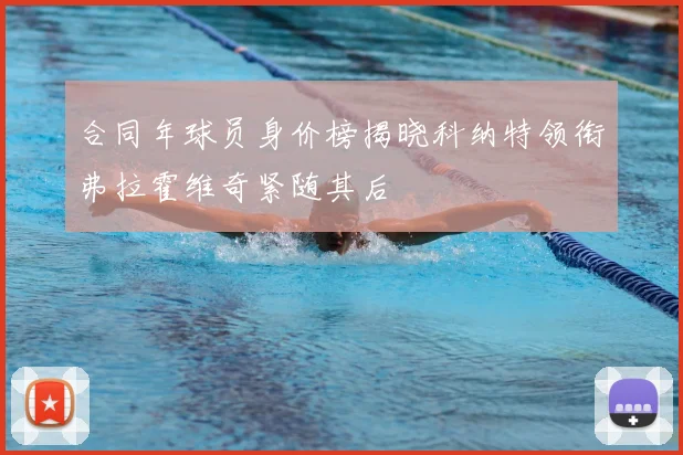 合同年球员身价榜揭晓科纳特领衔弗拉霍维奇紧随其后