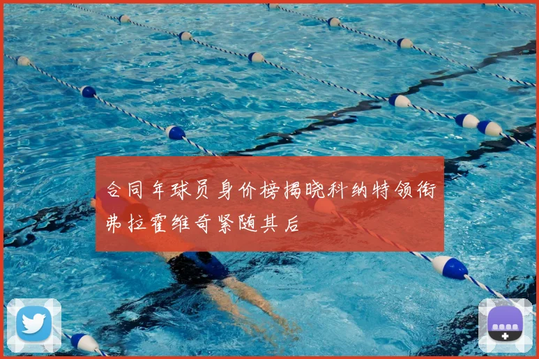 合同年球员身价榜揭晓科纳特领衔弗拉霍维奇紧随其后