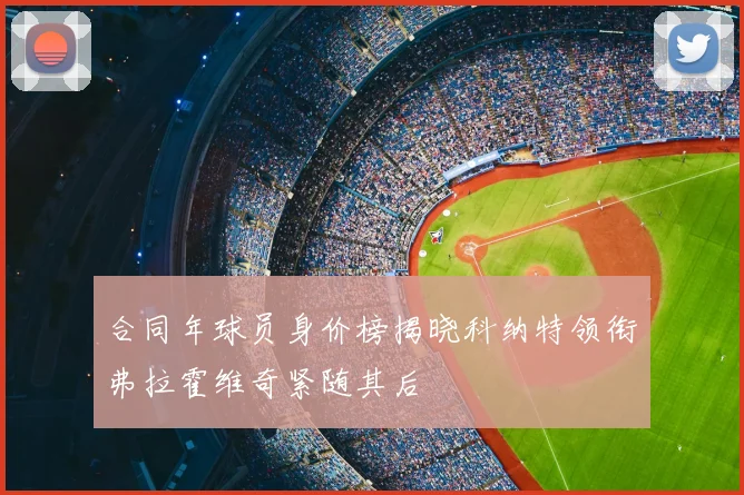 合同年球员身价榜揭晓科纳特领衔弗拉霍维奇紧随其后