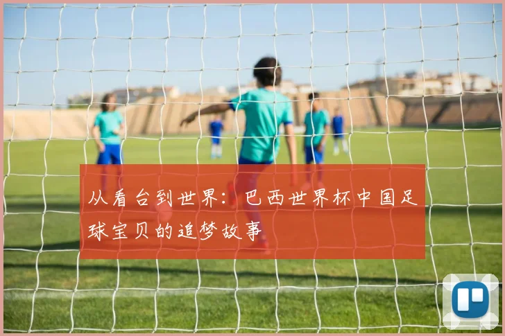 从看台到世界:巴西世界杯中国足球宝贝的追梦故事