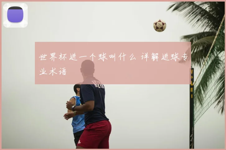 世界杯进一个球叫什么 详解进球专业术语