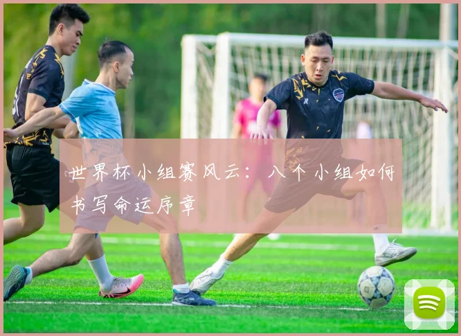 世界杯小组赛风云：八个小组如何书写命运序章