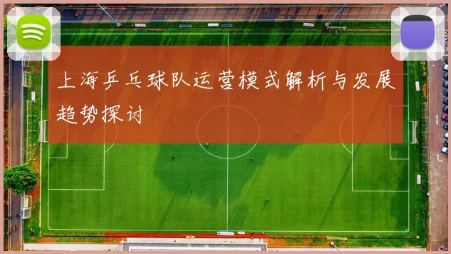 上海乒乓球队运营模式解析与发展趋势探讨