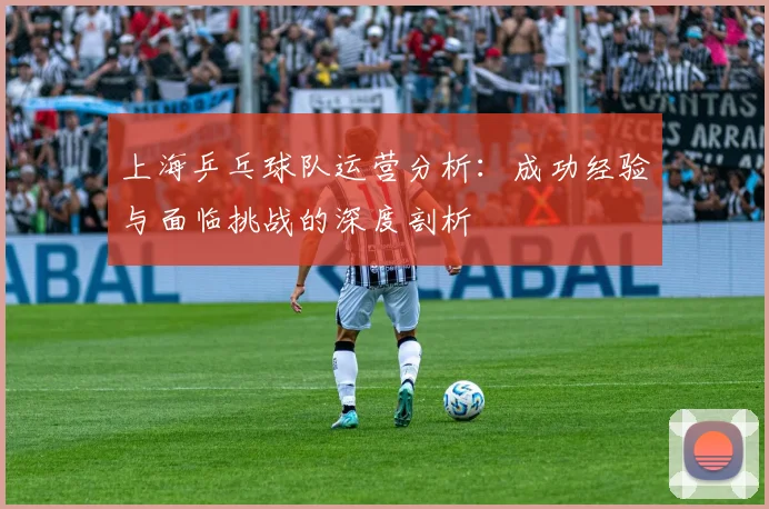 上海乒乓球队运营分析:成功经验与面临挑战的深度剖析
