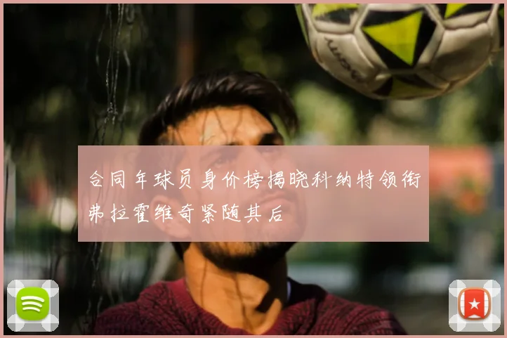 合同年球员身价榜揭晓科纳特领衔弗拉霍维奇紧随其后