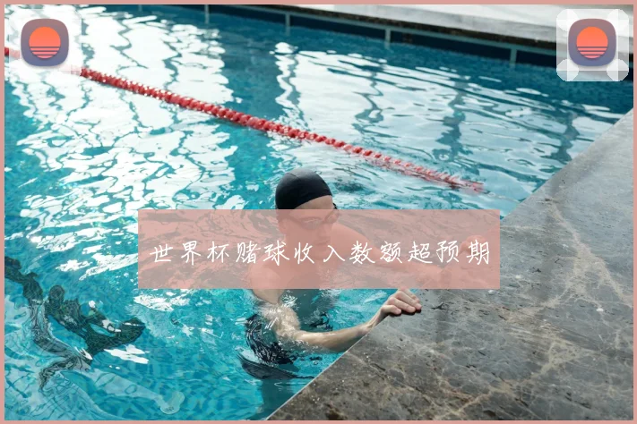 世界杯赌球收入数额超预期