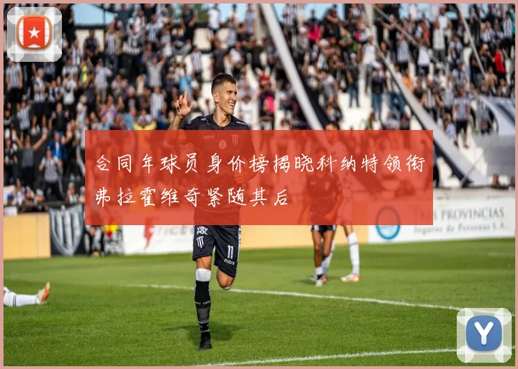 合同年球员身价榜揭晓科纳特领衔弗拉霍维奇紧随其后