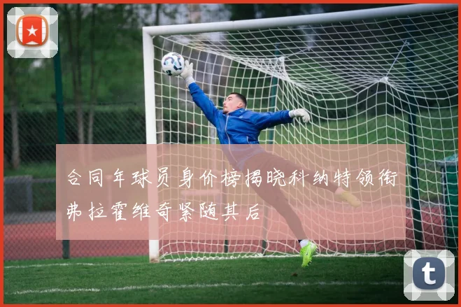 合同年球员身价榜揭晓科纳特领衔弗拉霍维奇紧随其后