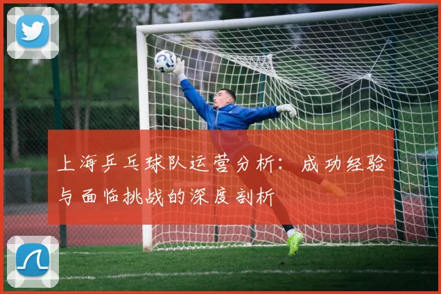 上海乒乓球队运营分析:成功经验与面临挑战的深度剖析