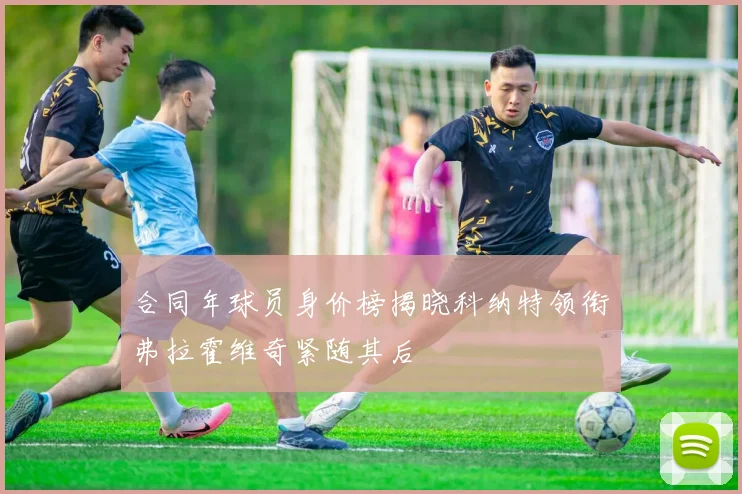 合同年球员身价榜揭晓科纳特领衔弗拉霍维奇紧随其后