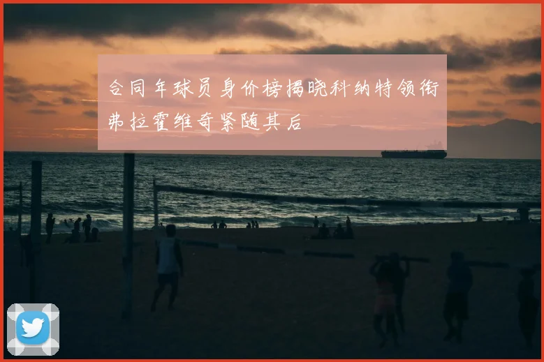 合同年球员身价榜揭晓科纳特领衔弗拉霍维奇紧随其后