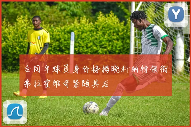 合同年球员身价榜揭晓科纳特领衔弗拉霍维奇紧随其后