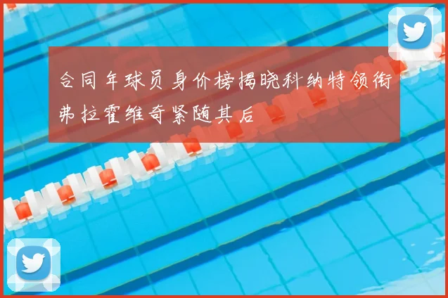 合同年球员身价榜揭晓科纳特领衔弗拉霍维奇紧随其后