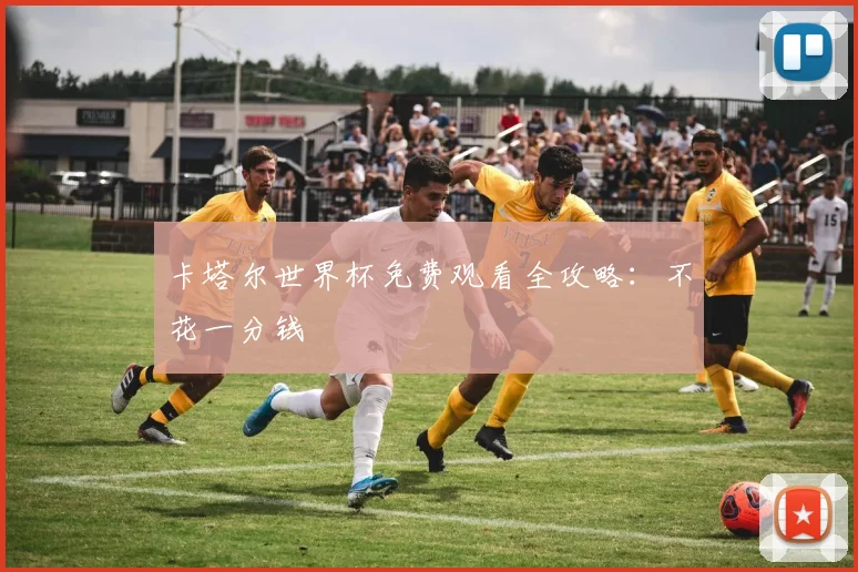 卡塔尔世界杯免费观看全攻略:不花一分钱