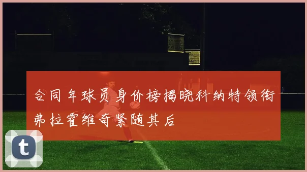 合同年球员身价榜揭晓科纳特领衔弗拉霍维奇紧随其后