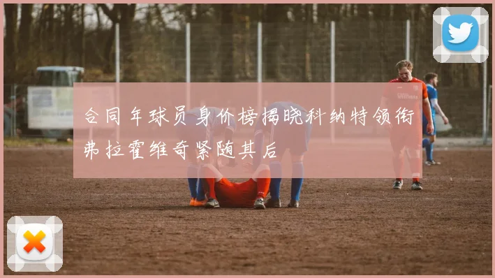 合同年球员身价榜揭晓科纳特领衔弗拉霍维奇紧随其后