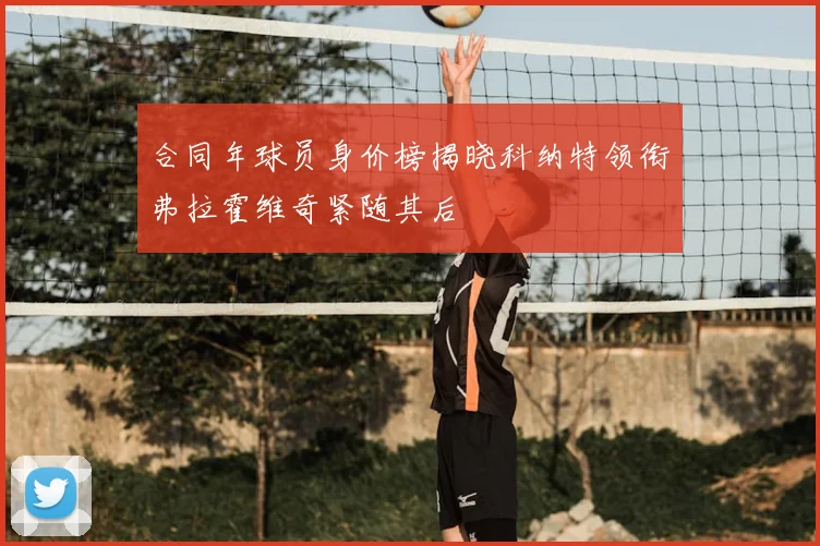 合同年球员身价榜揭晓科纳特领衔弗拉霍维奇紧随其后