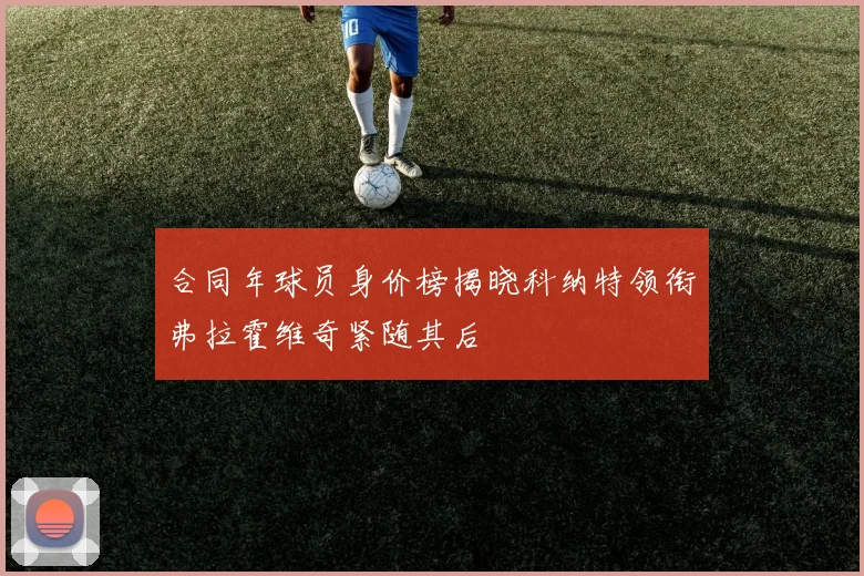 合同年球员身价榜揭晓科纳特领衔弗拉霍维奇紧随其后
