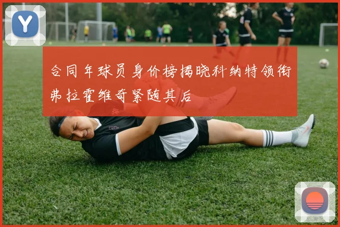 合同年球员身价榜揭晓科纳特领衔弗拉霍维奇紧随其后