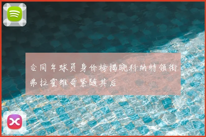 合同年球员身价榜揭晓科纳特领衔弗拉霍维奇紧随其后
