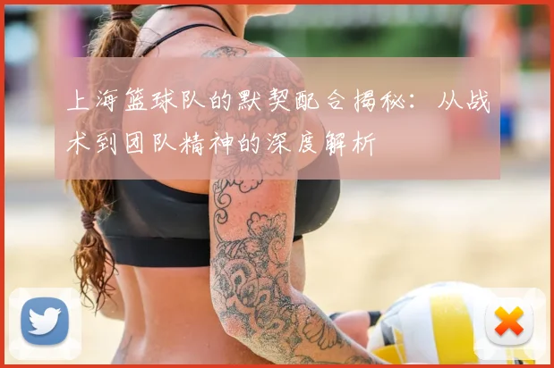 上海篮球队的默契配合揭秘：从战术到团队精神的深度解析