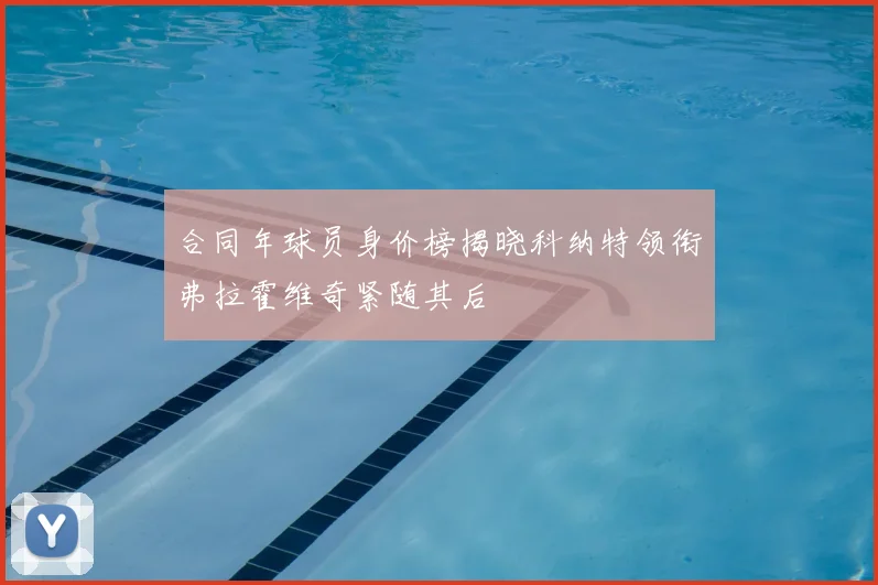 合同年球员身价榜揭晓科纳特领衔弗拉霍维奇紧随其后