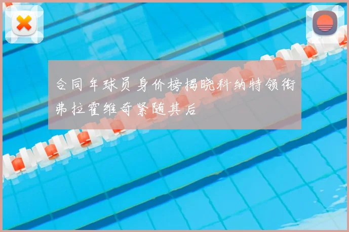 合同年球员身价榜揭晓科纳特领衔弗拉霍维奇紧随其后