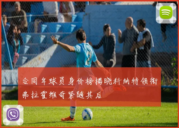合同年球员身价榜揭晓科纳特领衔弗拉霍维奇紧随其后